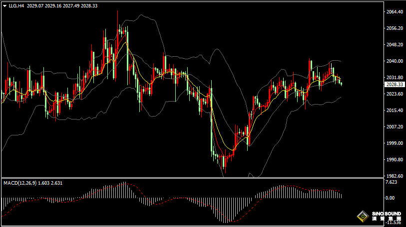 漢聲張新才:[2月28日晚評]受美聯儲降息預期影響，國際金價短線上漲乏力