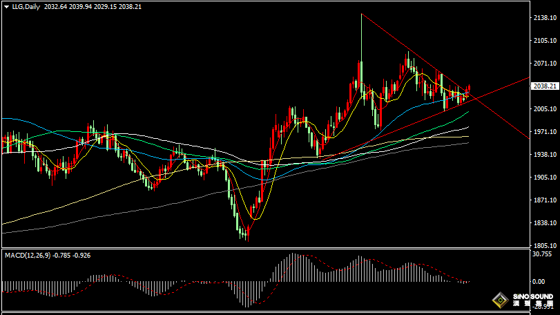 漢聲張新才:[1月30日晚評]美聯儲決議前市場暗流湧動，黃金多頭上行動能有所增加