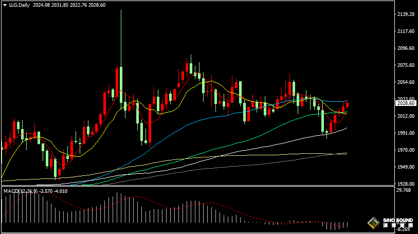 漢聲張新才:[2月21日晚評]今晚美聯儲會議紀要出臺，屆時金融市場波動加劇