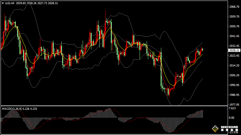 漢聲張新才:[2月21日晚評]今晚美聯儲會議紀要出臺，屆時金融市場波動加劇