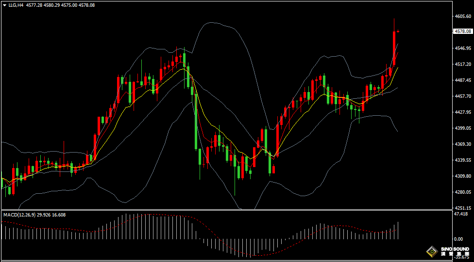 漢聲張新才:[1月12日早評]市場避險情緒加速升溫，金銀雙雙刷新歷史新高