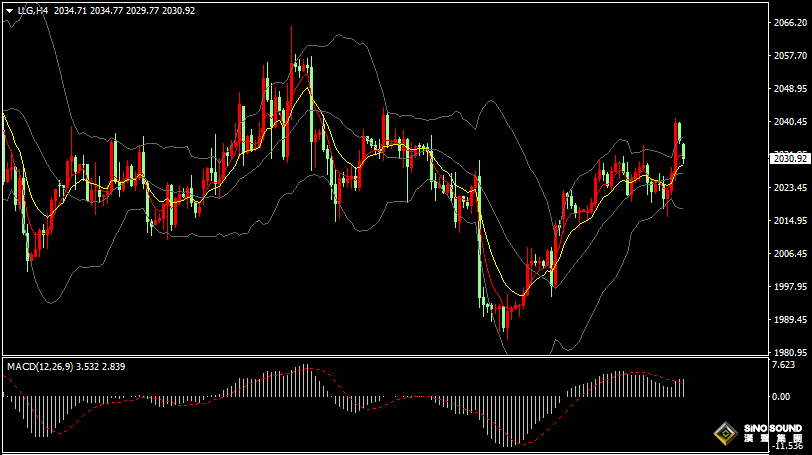 漢聲張新才:[2月26日早評]國際金價調整後轉漲，金價重新站上2030關口