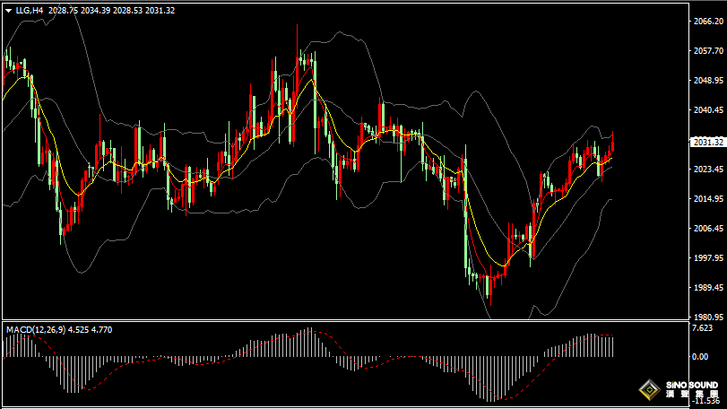 漢聲張新才:[2月22日晚評]日內美元指數延續下挫，金價再度站上2030關口